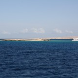 IMG_0808
