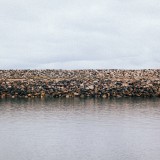 0271_yIDqQ15KgRI
