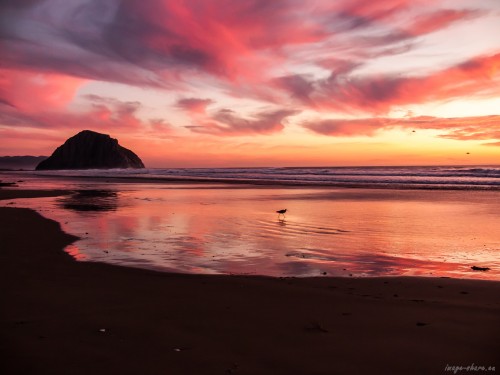 3648x2736 uncropped TheAppBuilder-icon-morro-strand-sunset-21nov2008-49.RAW20 Aug 2013, the original