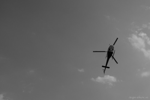 photo-1432324741895-cd9f40e17da6.jpg