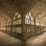 photo-1473576908353-c44124dea8e3