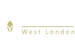 Psychotherapy west london8cdf2356d3a28fbf