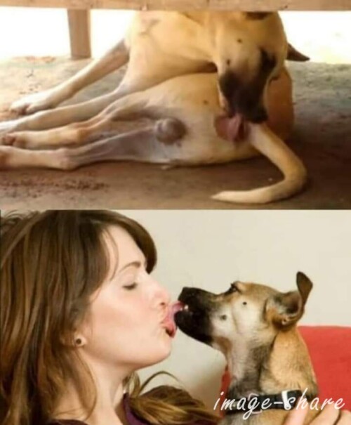 dog.kisscoj5q.jpeg