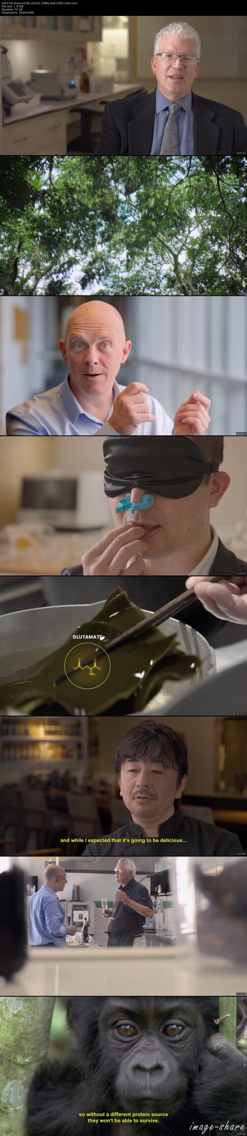 69e5f86465cb945934766e78205e4827b_thumbs.jpeg