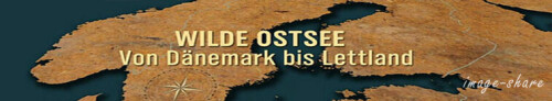 335491-g.jpeg