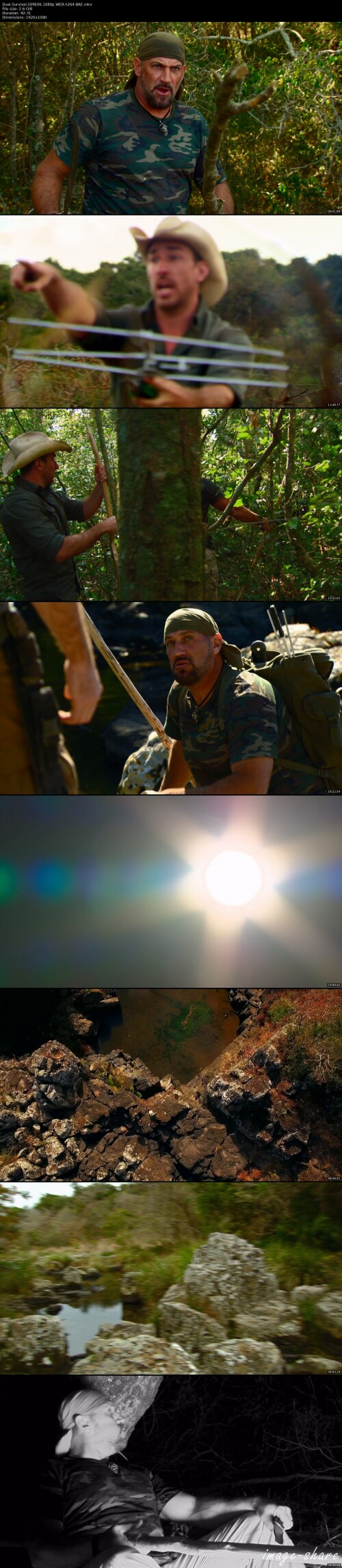 d3bb290512c641cddde3feebba720b07b_thumbs.jpeg