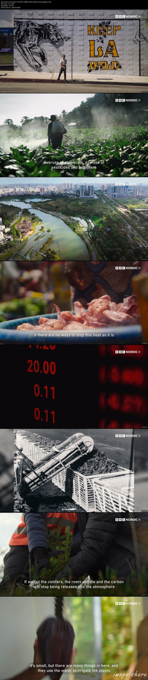 807802435da65e77c71fbdad734f81d0b_thumbs.jpeg