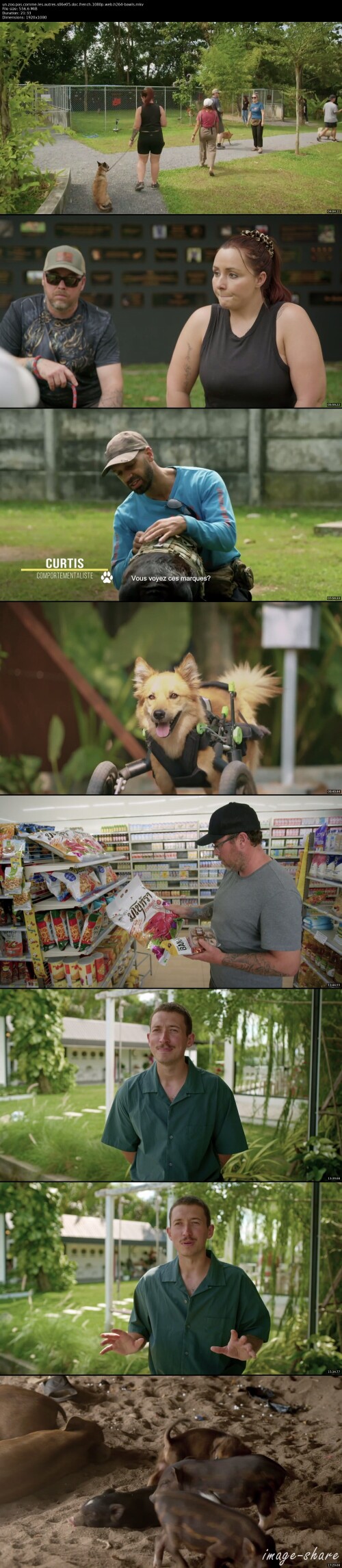0708082932a58ec857099c3df3f5429cb_thumbs.jpeg