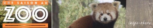 281154-g2.jpeg