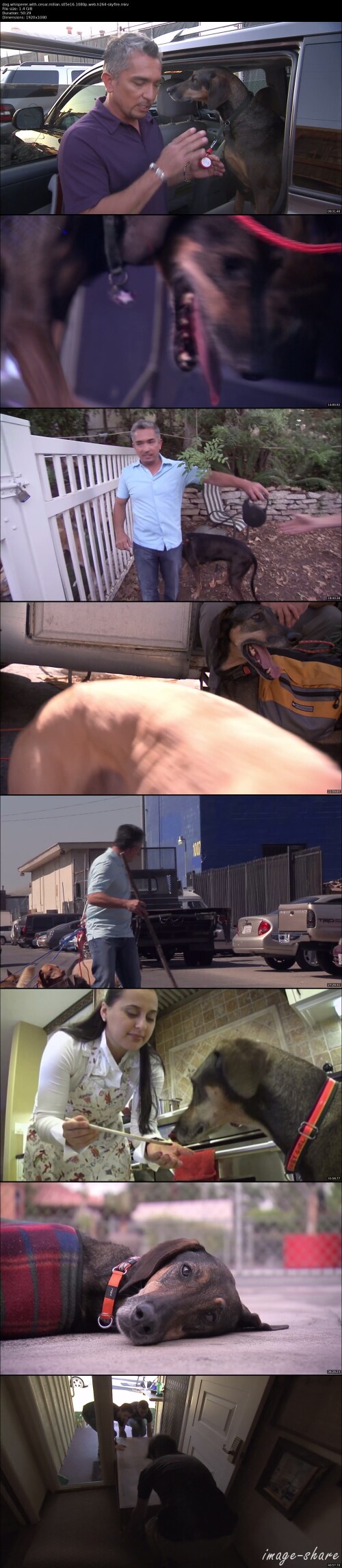 7f493e1402820bc02a629743c5270131b_thumbs.jpeg