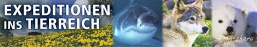 261326-g2.jpeg