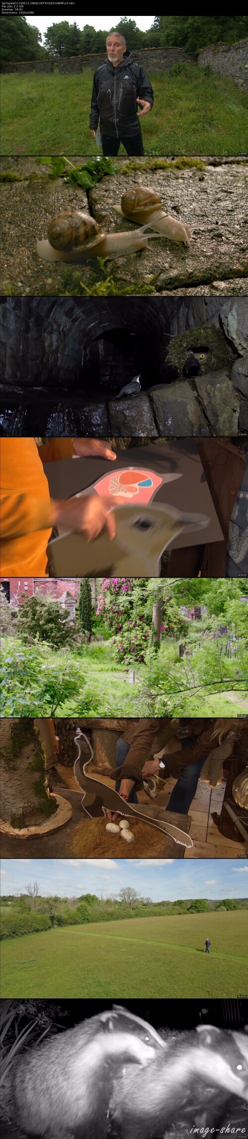dc6274d7c24321b7b11002d84dd13c81b_thumbs.jpeg