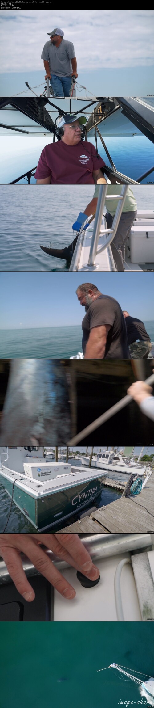 f5f789cbd9311feba8b046c3323feca8b_thumbs.jpeg