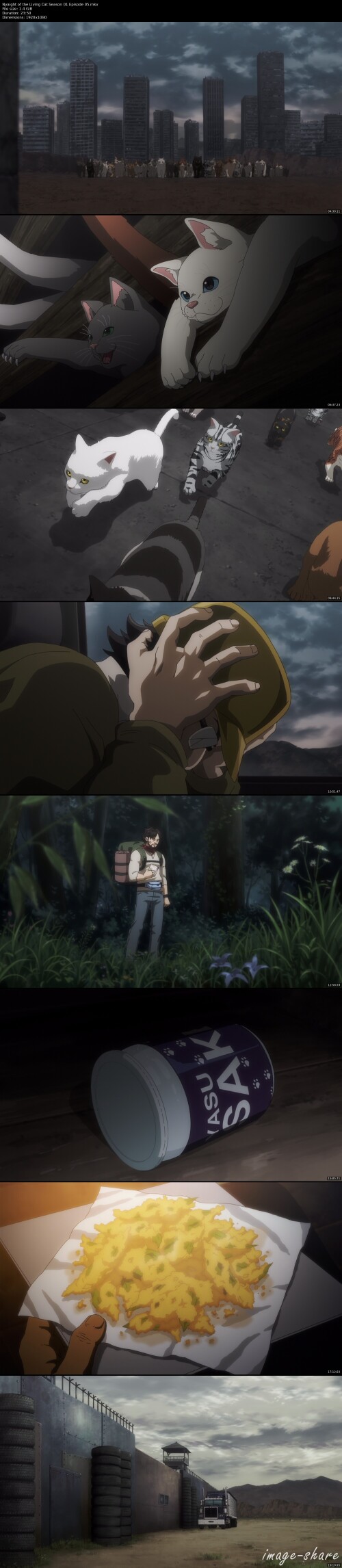 ac8bbb9e587dd859f730dc39cc2e5011b_thumbs.jpeg